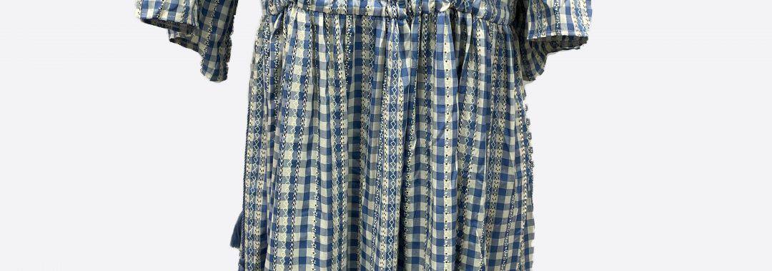 Gingham Dress Blue Worthier